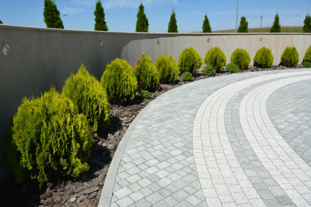 Best Local Driveway Pavers  in Montello, WI